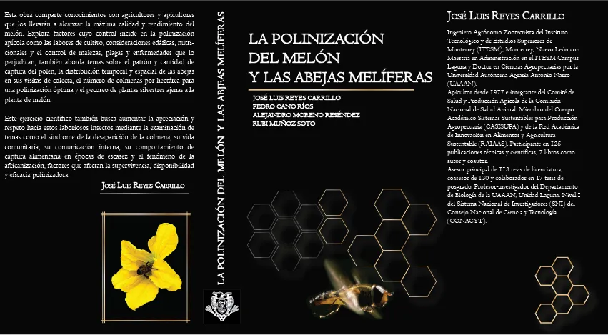portada-01.webp